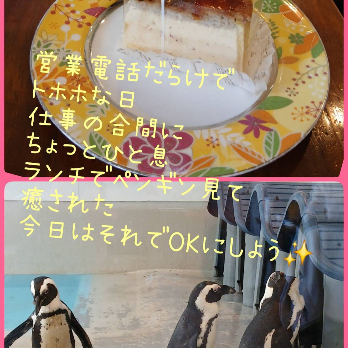 トホホな日（　＾ω＾）・・・